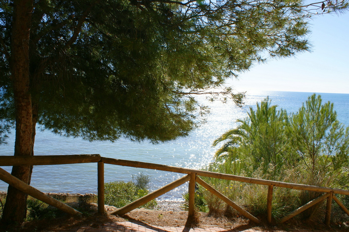 www.theluxuryhomeslifestyle.com